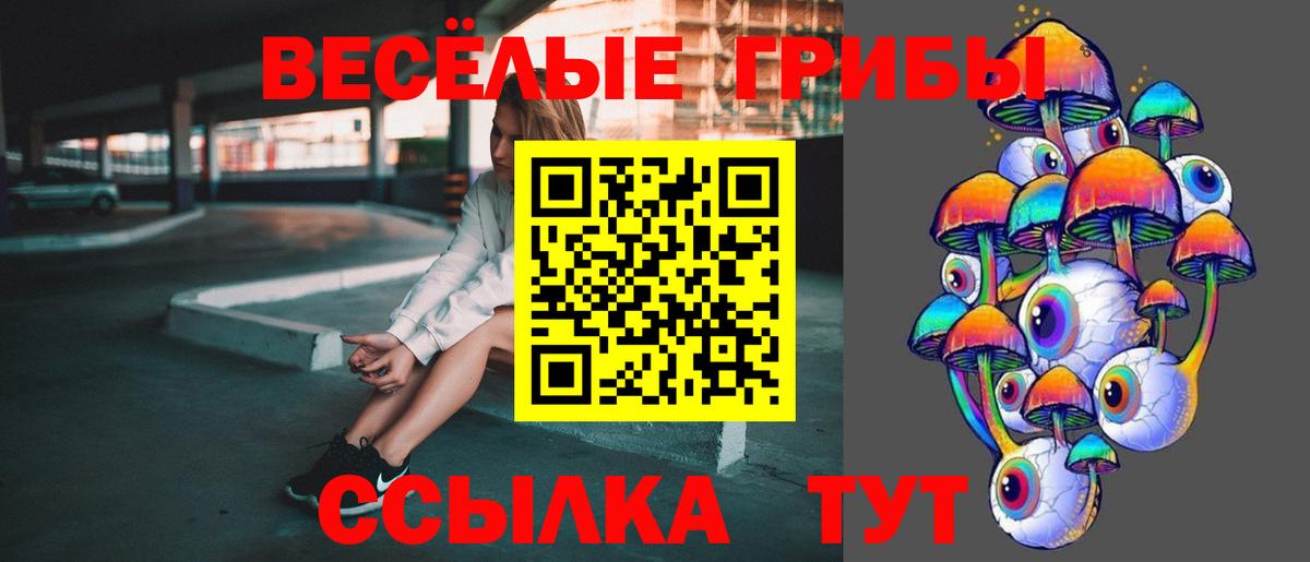 Псилоцибиновые грибы Psilocybine cubensis  Вход с VPN  Сибай 